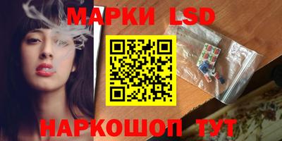 шишки Бузулук