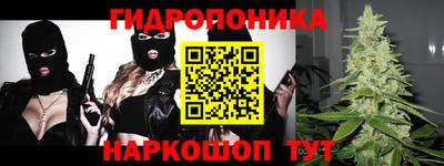 шишки Бузулук