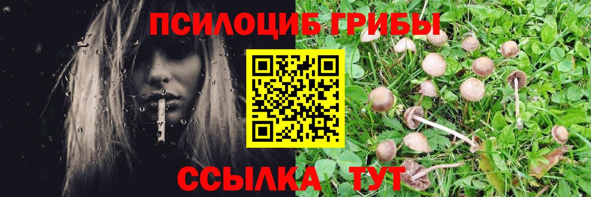 Самара  Галлюциногенные грибы GOLDEN TEACHER  Вход с VPN 