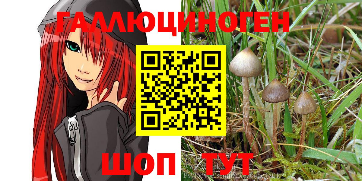 Галлюциногенные грибы Psilocybe Самара